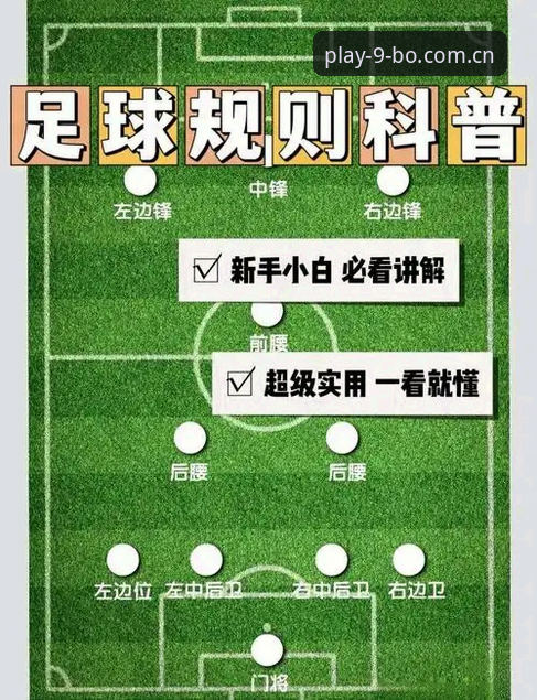 使用9博体育平台解读足协第三批禁足名单操作教程