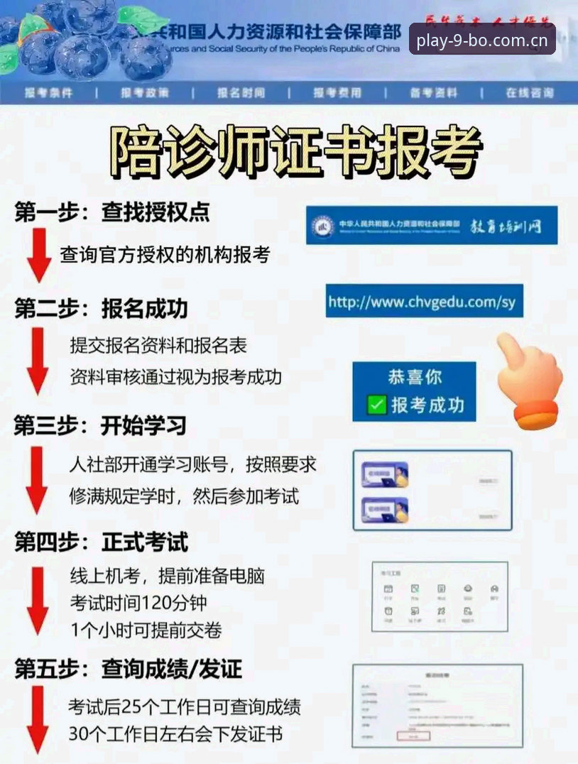 9博体育平台2025新版详解：从入口到下载的完整指南