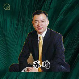 苏晴